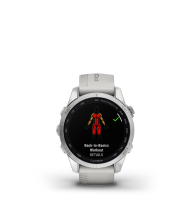 Porsche x Garmin® Epix Pro išmanusis laikrodis 42 mm