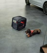 Gyvūno iki 8 kg transportavimo narvas