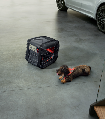 Gyvūno iki 8 kg transportavimo narvas