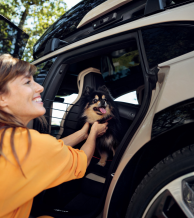 Gyvūno iki 8 kg transportavimo narvas