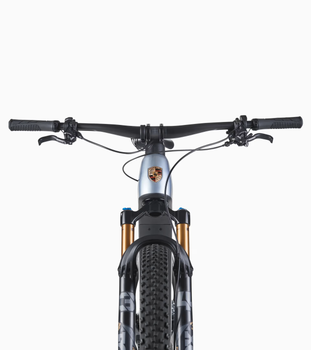 Porsche eBike Cross Performance - elektrinis dviratis