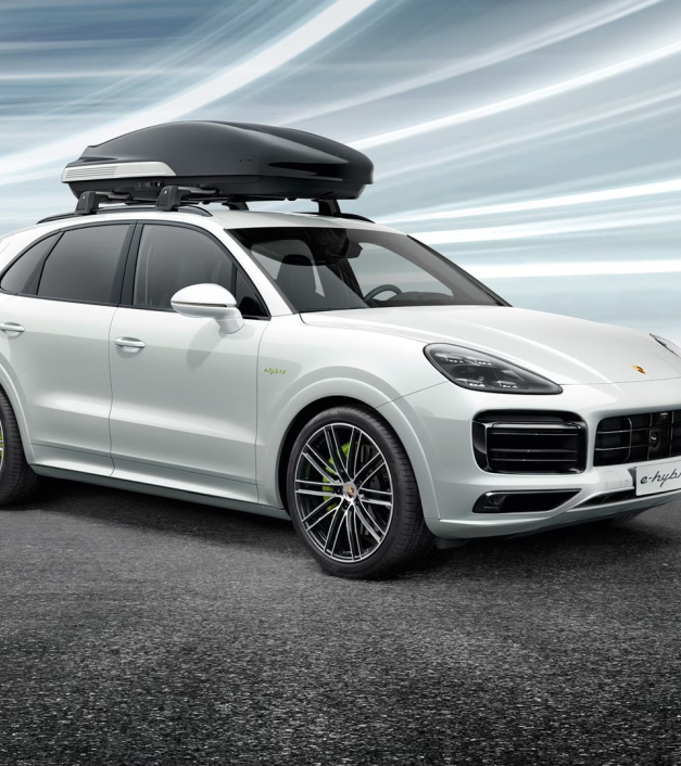 Porsche Performance stogo bagažinė